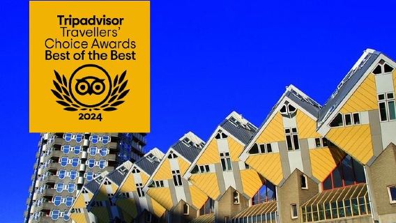 UNBEDINGT ERLEBEN: Rotterdams Highlights & Geschichte mit einem lokalen Guide