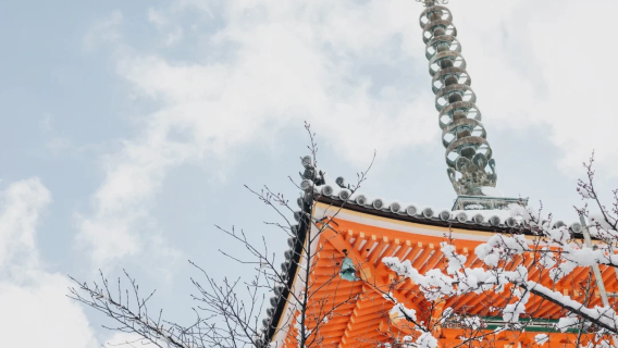 Vertrek vanuit Osaka: eendaagse tour naar de Kiyomizu-dera-tempel, Ninosanzaka, het Fushimi Inari-heiligdom en Nara Park.