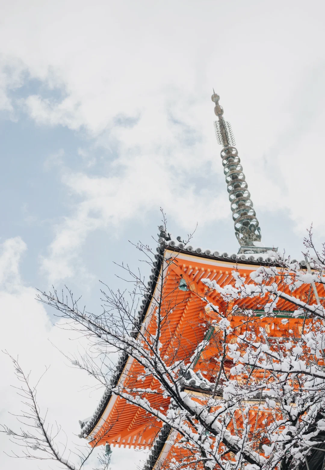 Tour di un giorno da Osaka: Tempio Kiyomizu-dera + Ninen-zaka e Sannen-zaka + Santuario di Fushimi Inari-taisha + Parco di Nara