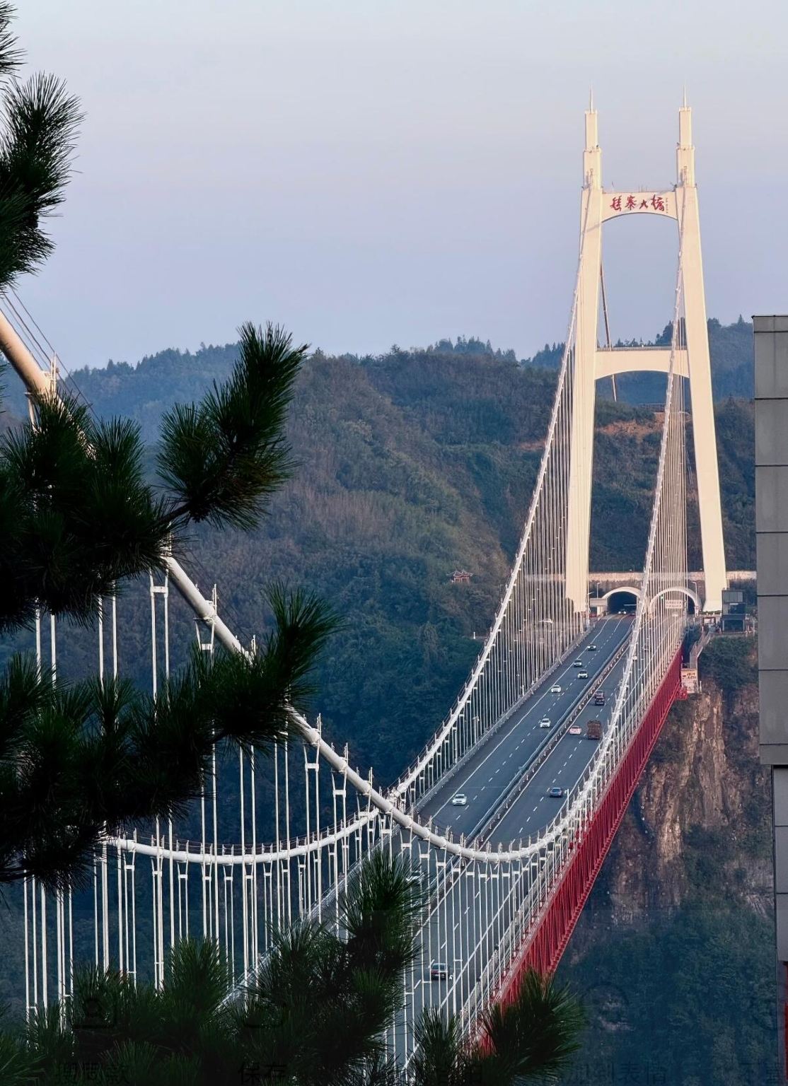 (Berlepas dari Guiyang) Lawatan sehari ke Gunung Fanjingshan Tongren + Puncak Emas Awan Merah + Kuil Chengen dengan perkhidmatan dwibahasa Inggeris-Cina