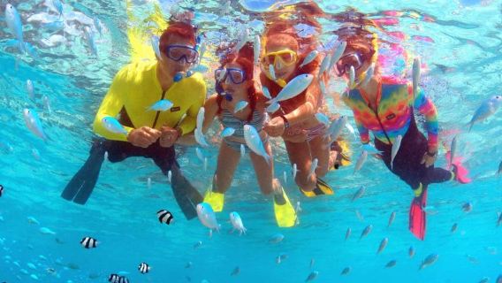 Amerika SyarikatGuamFotografi Bawah AirSnorkelingPas 1 Jam [Eko Snorkeling di Piti Bay Marine]
