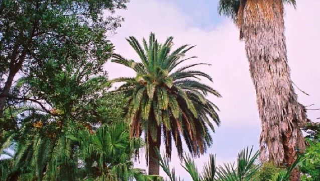 Barcelona Private Chartered Tour to Tossa de Mar and Blanes Mediterranean Garden