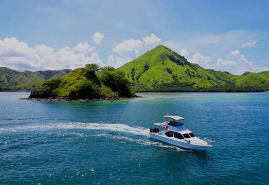 Komodo Islands Full-Day Speedboat Adventure: Padar, Dragons, Pink Beach & Snorkeling