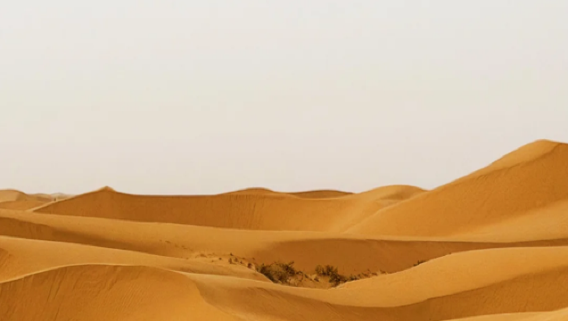 Toda la región de Ningxia - Yinchuan, Zhongwei | Guía en chino/inglés (para otros idiomas, consulte con el servicio de atención al cliente) | Traducción para ferias | Traducción para inspecciones comerciales | Servicio de coche privado con conductor personalizado para viajes