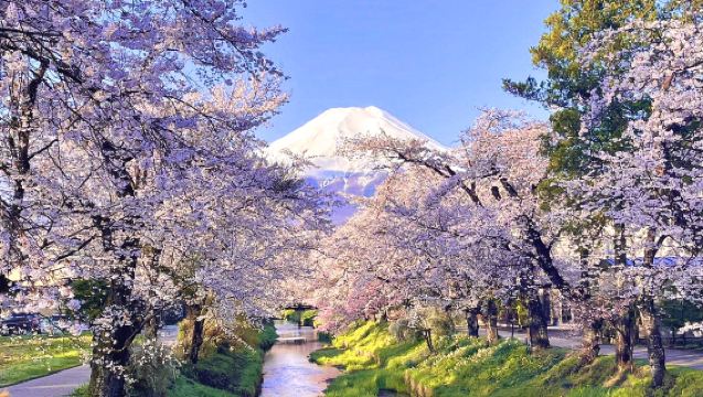 Mount Fuji Day Trip from Tokyo: Instagram-Famous Spot Hopping | Arakurayama Sengen Park&Hikawa Clock Shop&Oshino Hakkai&Kawaguchiko Lawson&Lake Kawaguchi Oishi Park