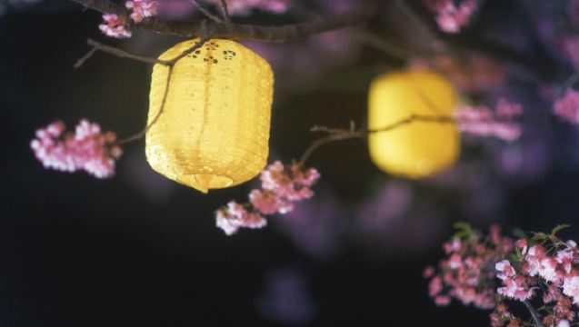 Huayuan Trip Moments[Fotografie, Begleitung, Fotos, Kurzvideos, Imagefilme, Abschlussfotos, Kinder- und Familienporträts, Hochzeitsfotos mit allen Rohdaten inklusive/Übersetzung]