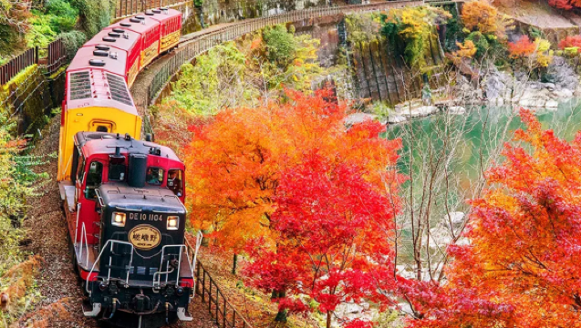 日本東京/京都/大阪/奈良/神戶｜專業在地陪同 /導遊 /商務翻譯｜中英日俄法德各類小語種｜自由行地接/私人訂製