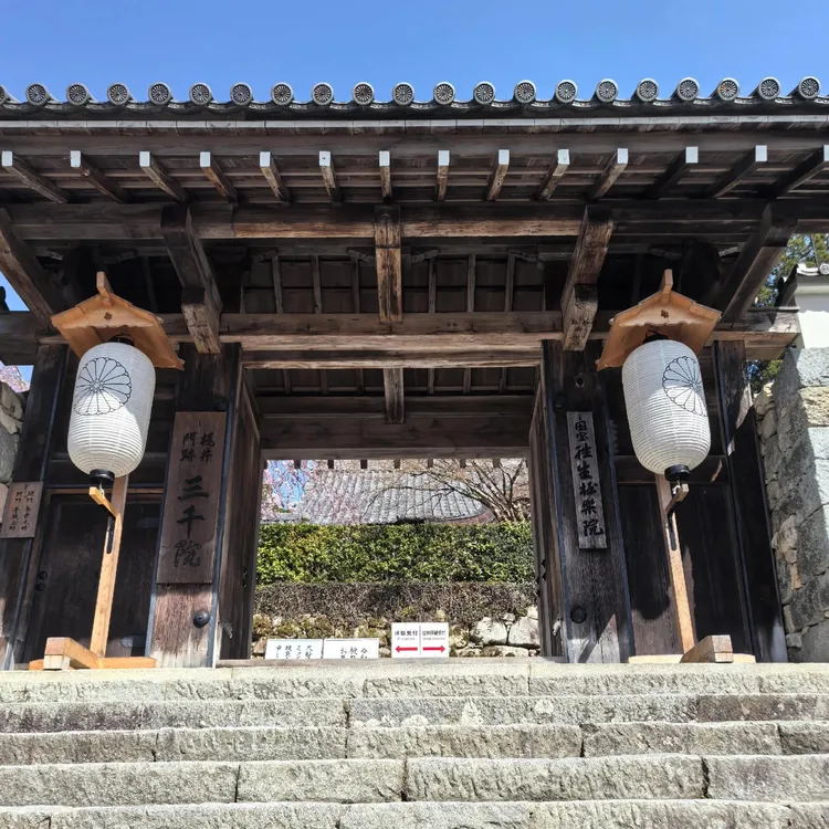 京都深山古剎苔庭靜心之旅：三千院+貴船神社+鞍馬寺+鴨川| Trip.com