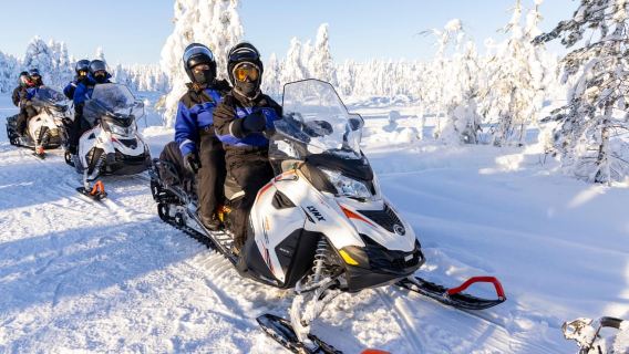 サーリセルカ：ツンドラでのスノーモービルサファリ