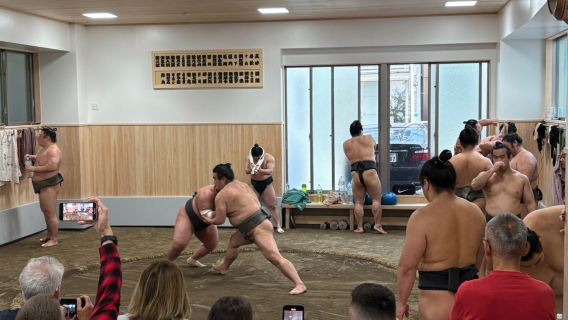 [Travel choice] Tokyo: English-guided sumo morning practice
