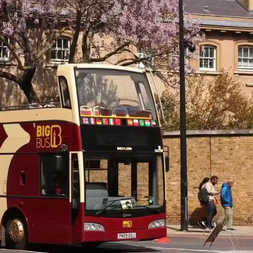 ロンドンバスビッグベン ロンドンBig Bus乗り降り自由の観光バス（ロンドン全市のランドマーク