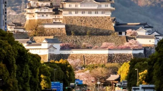 Tour di un giorno con noleggio con conducente esclusivo a Osaka + Castello di Himeji + Giardino Kōko-en + Tempio Enkyō-ji sul Monte Shosha / itinerario personalizzabile