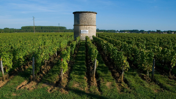 Bordeaux lawatan sehari ke ladang anggur terkenal di tebing kiri - Margaux/Lafite + Saint-Émilion, itinerari boleh dilaras