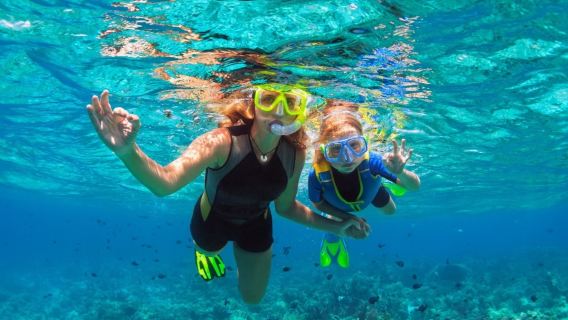 Official | Kota Kinabalu island hopping | Manukan Island + Mamutik Island | Optional water activities