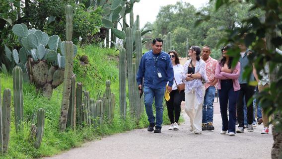 Teotihuacan Pyramids & Grandma's Home Cooking All-Inclusive