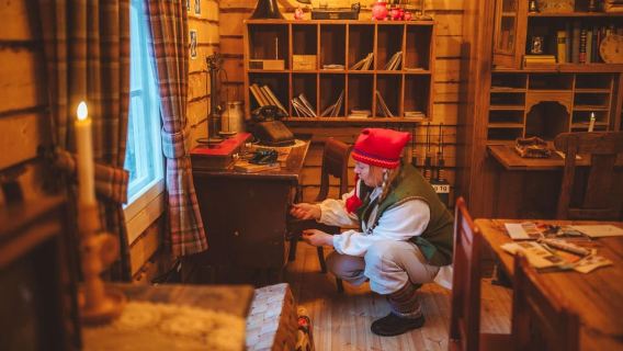 Волшебный визит Санты, катание на оленьей упряжке и мастер-классы эльфов
