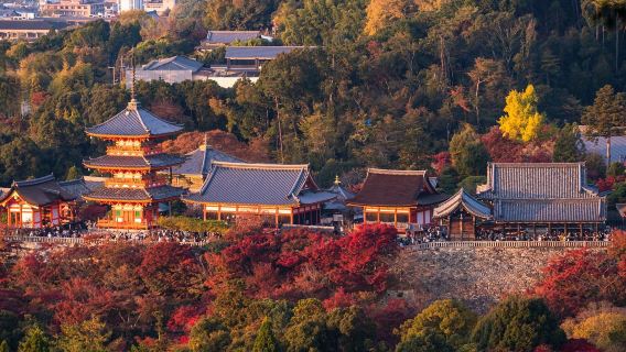 日本関西貸切チャーターワンデーツアー【大阪丨京都丨奈良丨神戸】その他の地域や行程についてはカスタマーサポートにお問い合わせください