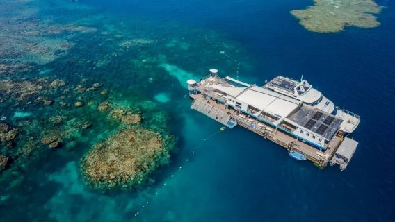 Jednodniowa wycieczka do Wielkiej Rafy Koralowej statkiem Dream Reef z Cairns | rejs na zewnętrzną rafę koralową Moore Reef