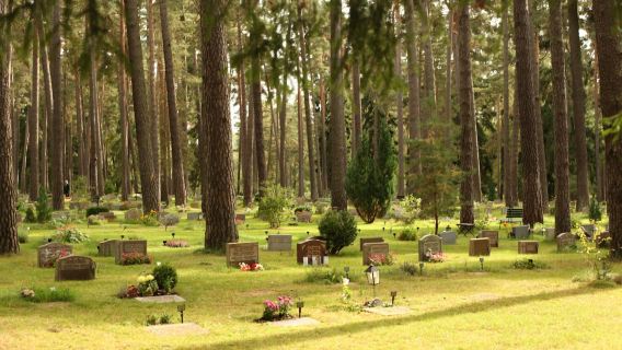Visite audio de Skogskyrkogården : Le cimetière boisé