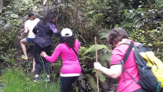 2 Hours Small-Group Horseback Riding Experience in Banos