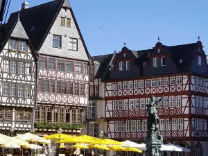 Best of Frankfurt with a licensed guide 