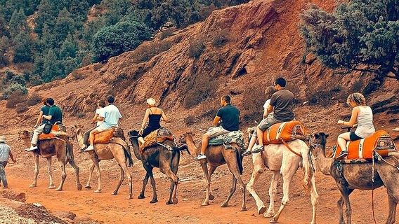 MarrakechTours