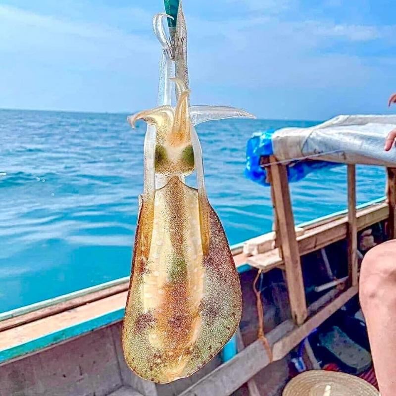 Night Fishing for Cuttlefish in Phu Quoc Island, Vietnam [Group Tour | Transfers and Meals Included | Tools Provided]