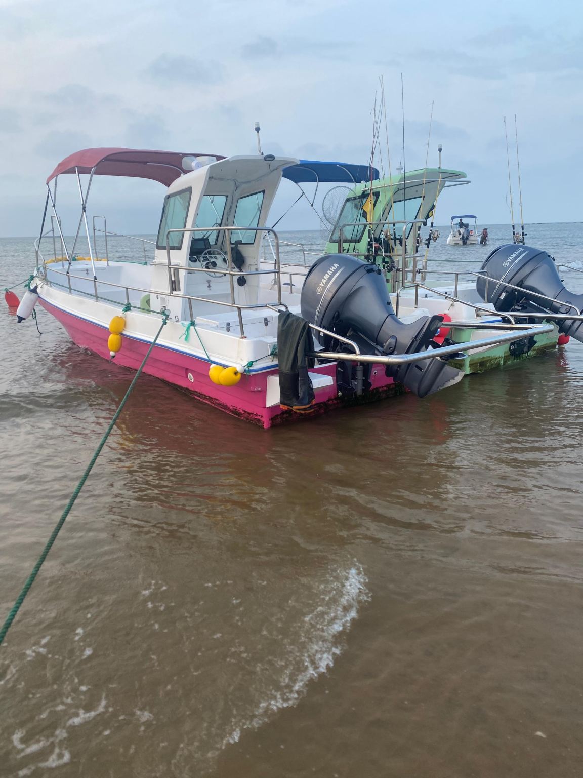 山東威海榮成那香海出海海釣+餵食海鷗+海上觀光【出海海釣3小時/漁民體驗/含魚竿魚餌/家庭出遊/聚會團建】