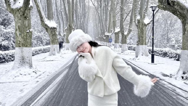 總統府|美齡宮|音樂台|中山陵景區|明孝陵梧桐|10人精品小團