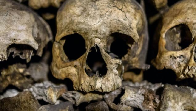 Catacombs of Paris: Guided Tour in English