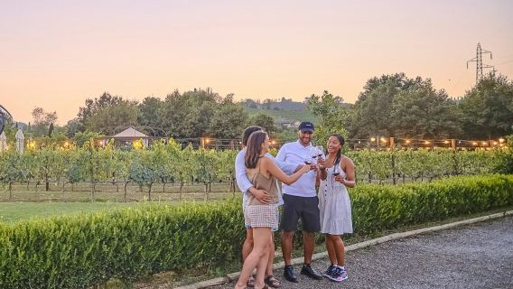 Siena: Day Trip from Florence + Dinner