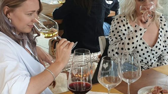 Florence : Dégustations de vin + Tour en minibus