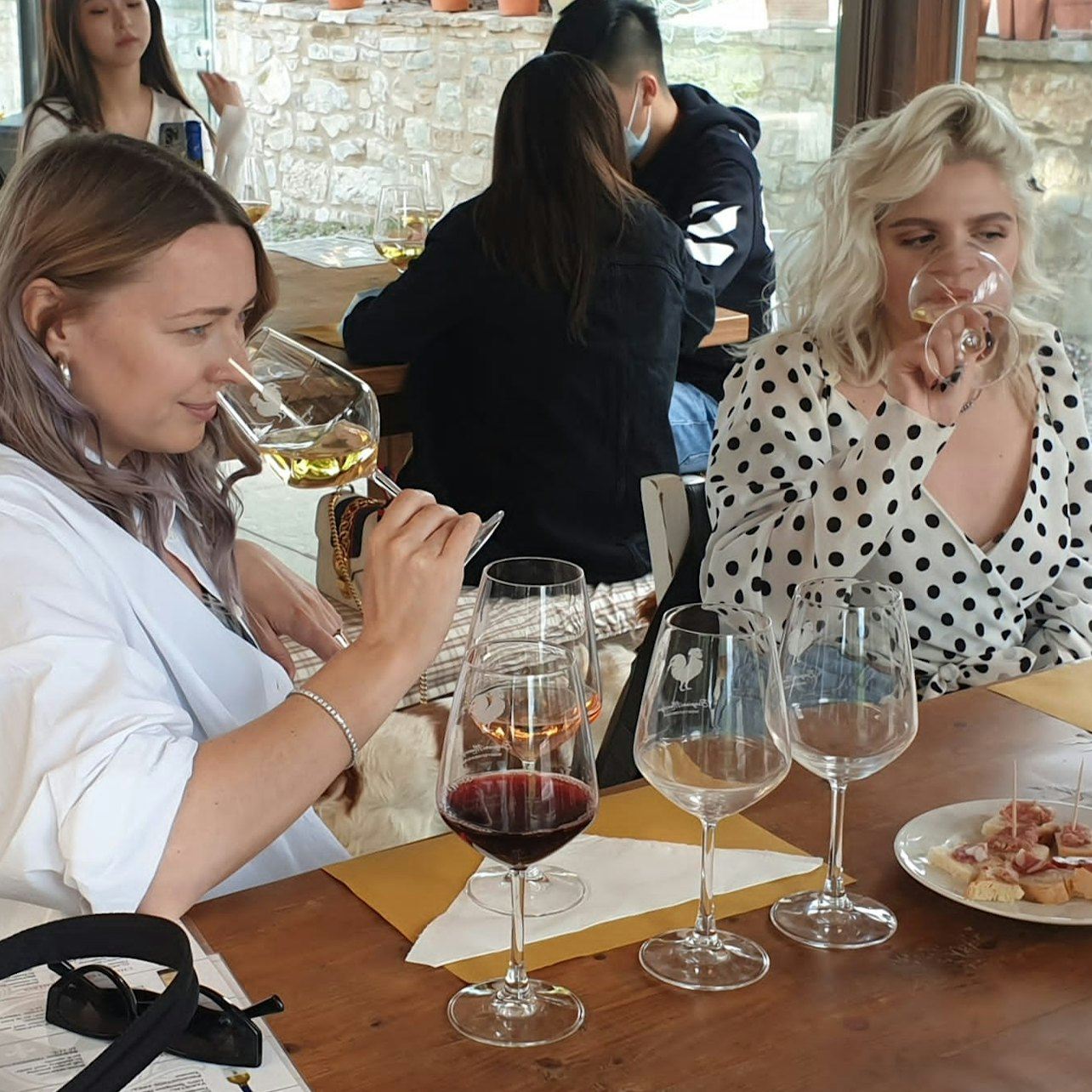 Firenze: Degustazioni di vini + Tour in minivan