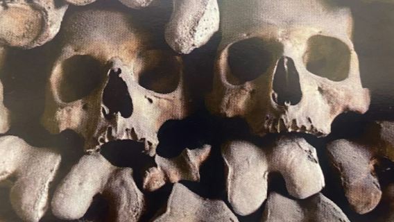 카푸치니 지하묘지: 빠른 입장권 + 오디오 가이드