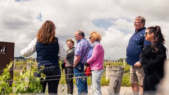 BordeauxExperiences