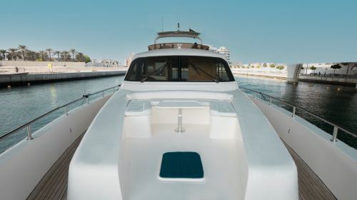 A Premium Yacht Cruise Along Dubai's Coastline Transport Passes 4