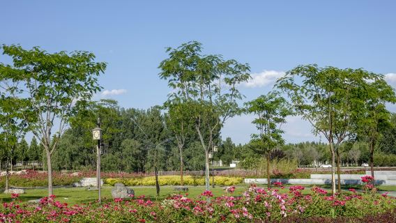 Langfang, China: Yongding River Bicycle Park + Langfang Nature Park +|Britain|Law|Day guide Guide