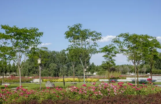 中國廊坊：永定河單車公園+廊坊自然公園+|英|法|日導遊O