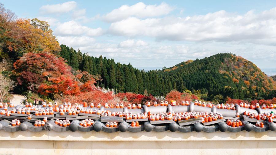 日本勝尾寺+箕面瀑布+嵐山竹林+東大寺+奈良公園【大阪遊】