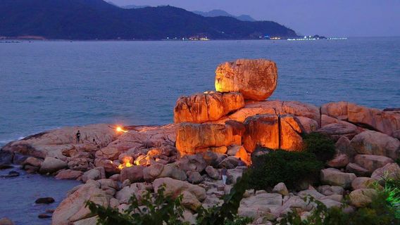 DalatTravel Services