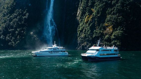 WellingtonTours