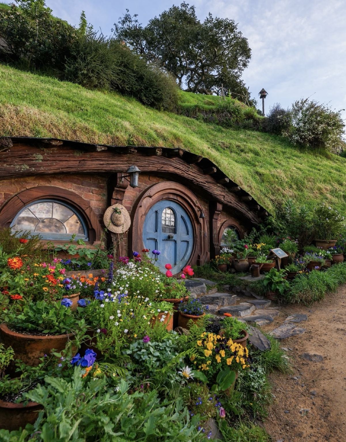 懷託摩螢火蟲洞+Hamilton Garde【包車放肆遊】