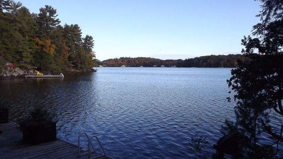 Tur Sehari ke Taman Provinsi Huntsville dan Algonquin