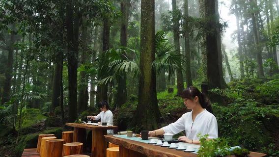 Chiayi CountyTours