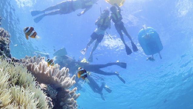 沖縄　EGGダイビング
