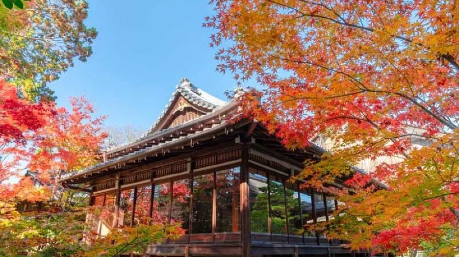 日本大阪京都貴船神社＆嵐山＆三千院一日遊
