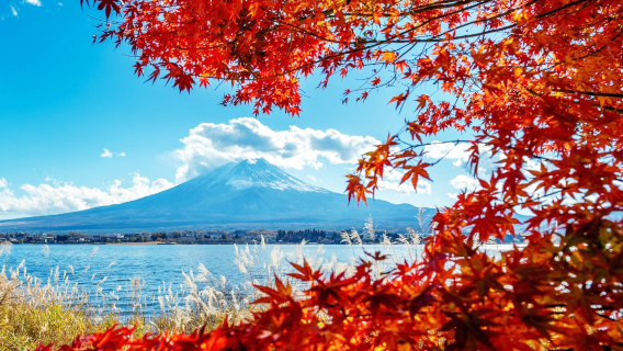 Sieben beliebte Aussichten auf den Fuji, beliebte Lawson und ein Tagesausflug zum Kawaguchiko Oishi Park