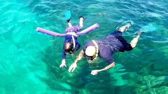 Biscayne Bay: Guided Snorkeling Adventure from Miami