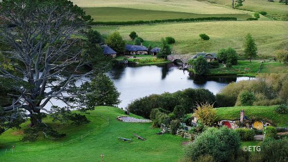 Hobbiton & Waitomo Caves one-day tour from Auckland | Lunch & Hotel Pickup