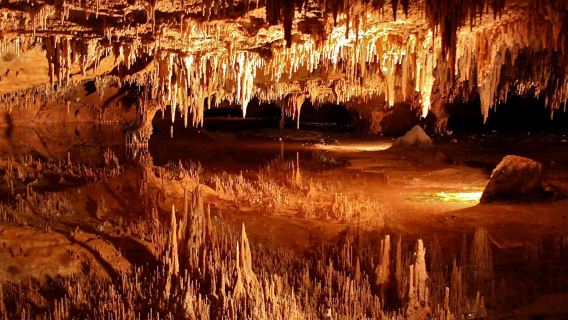 Shenandoah and Luray Caverns Small Group Tour from DC